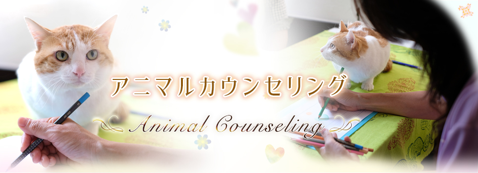 アニマルカウンセリング